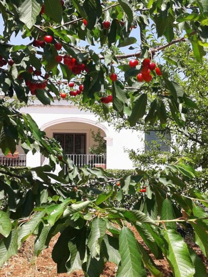 Bed and Breakfast La Volpina Martina Franca Exterior foto